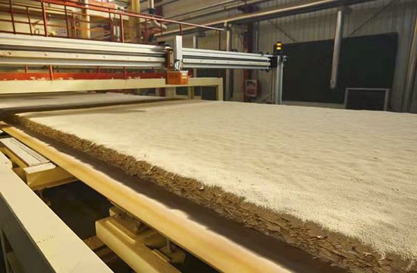 如何保证木材板材加工过程中的安全性