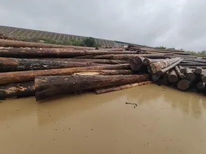 运输过程中如何保护木材板材免受天气影响 运输过程中如何保护木材板材免受天气影响