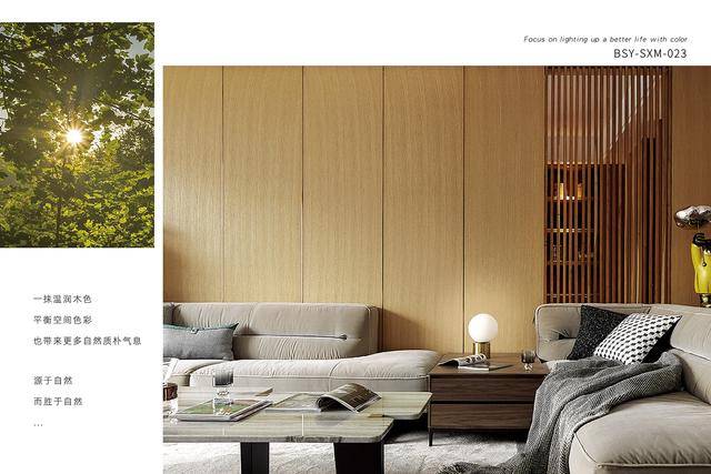 如何挑选适合的木材板材进行墙面装饰 如何挑选适合的木材板材进行墙面装饰