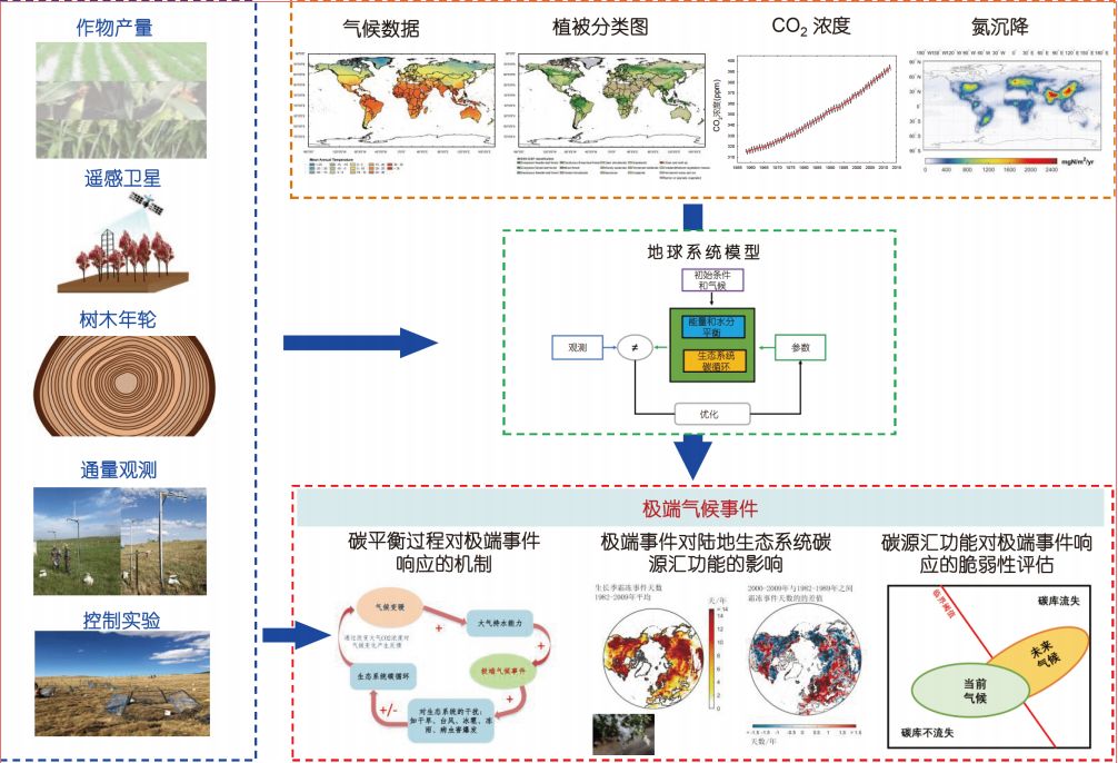 环保木材对生态系统的影响是什么 环保木材对生态系统的影响是什么