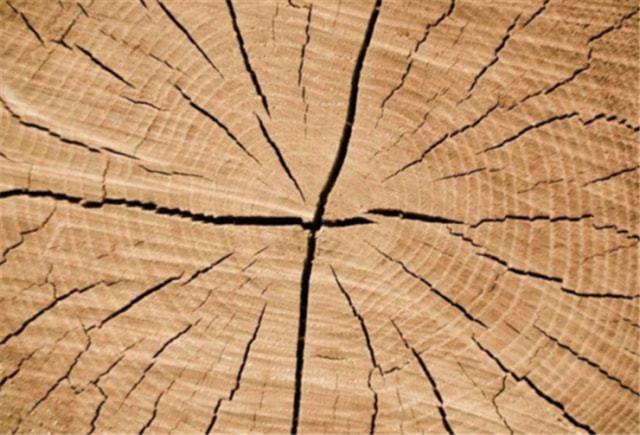 为什么木材板材的干燥过程对最终品质至关重要 为什么木材板材的干燥过程对最终品质至关重要