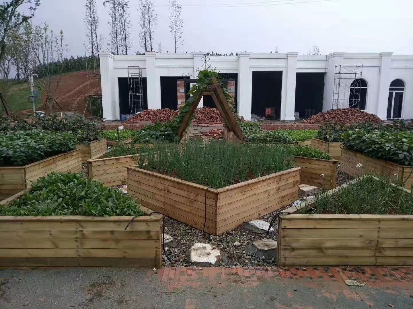 木材板材生产过程中如何保护生态系统 木材板材生产过程中如何保护生态系统