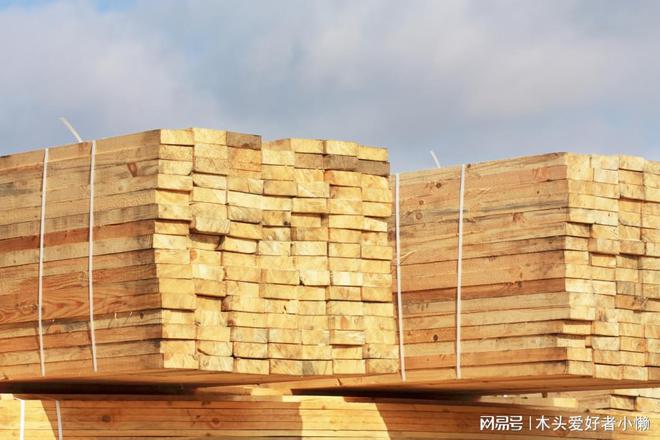 如何评估未来木材板材出口的市场前景 如何评估未来木材板材出口的市场前景