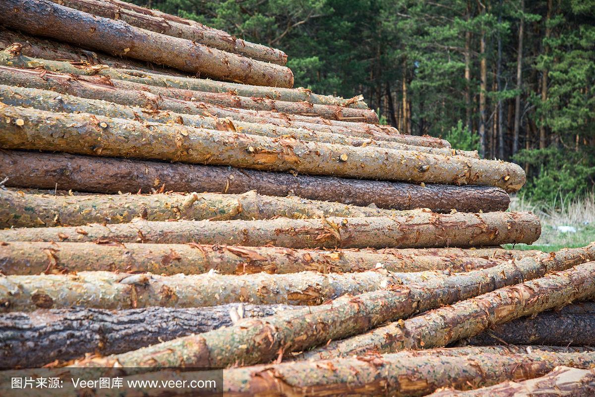 木材板材制造是否会导致森林砍伐 木材板材制造是否会导致森林砍伐