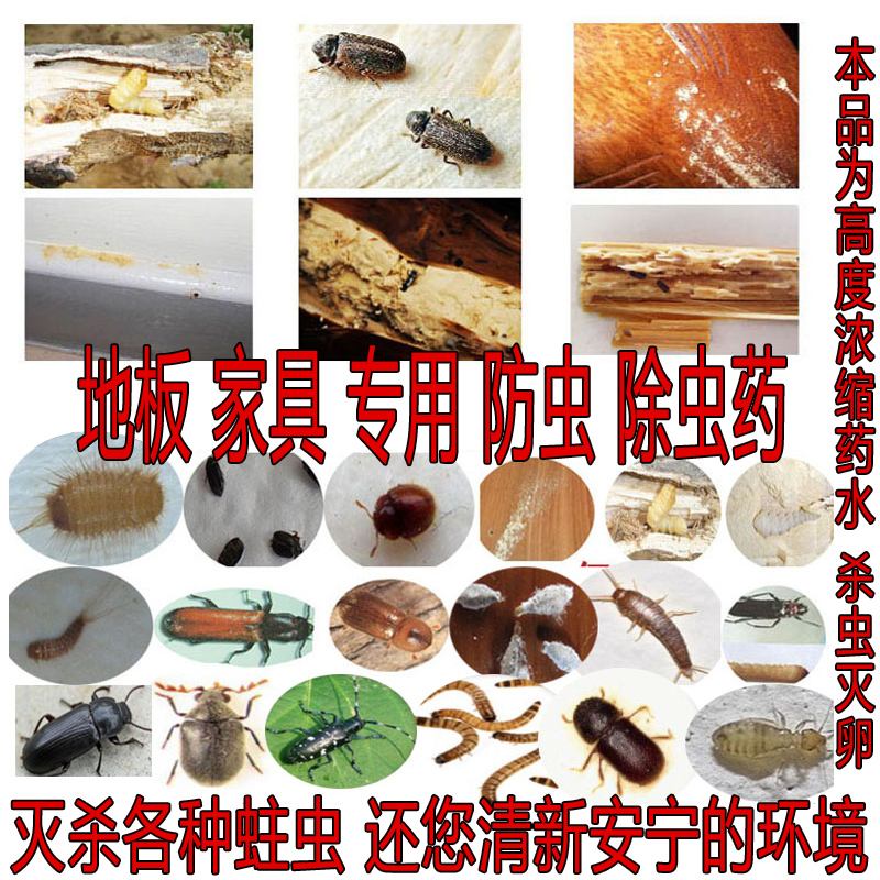 如何识别木材板材是否受到虫害 如何识别木材板材是否受到虫害