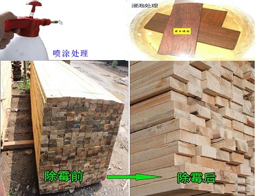 防霉处理后的木材板材如何进行日常保养 防霉处理后的木材板材如何进行日常保养