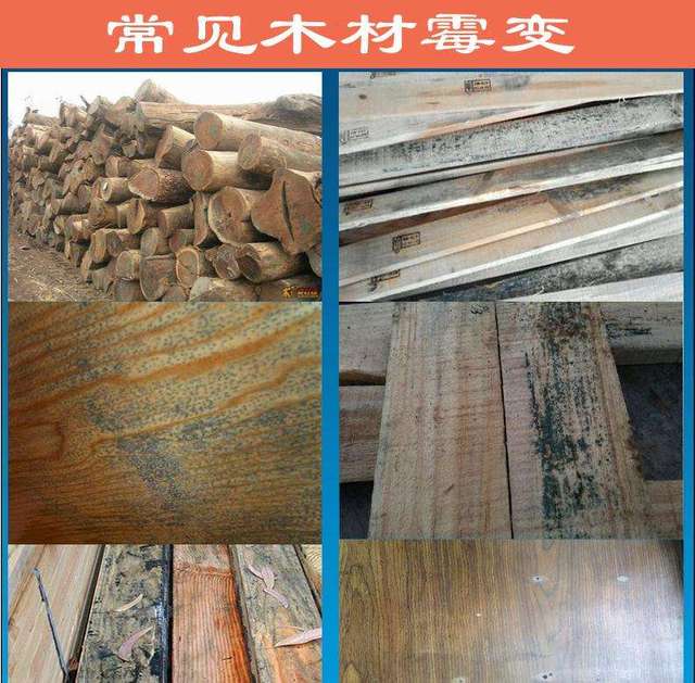 如何避免木材板材发霉 如何避免木材板材发霉