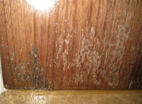 如何避免木材板材发霉 如何避免木材板材发霉