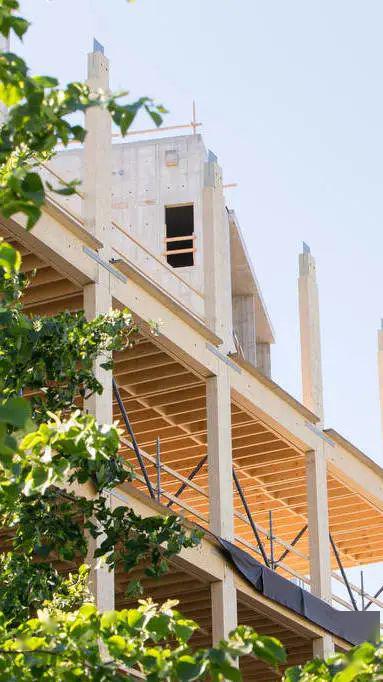 如何选择合适的木材板材以满足建筑结构要求 如何选择合适的木材板材以满足建筑结构要求